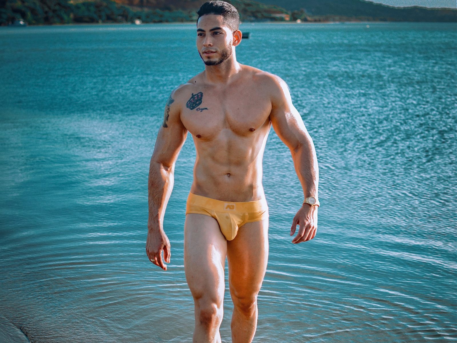 Ken Gold profile
