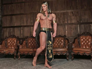 Steeve Muscle