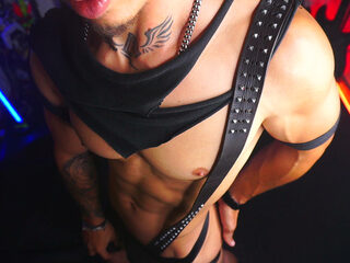 Matius Stewart profile