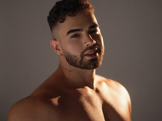 Paul Phoenix profile