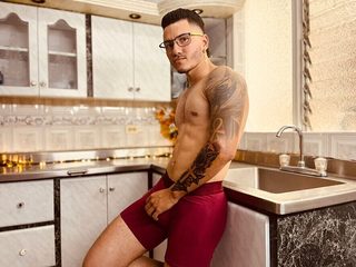 Profile and Statistics for Alesandro on Flirt4Free