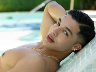 Troye Williams profile