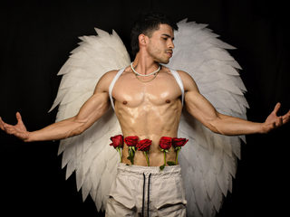 Paul Greco live cam model at Flirt4Free