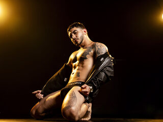 Dante Dimarco profile