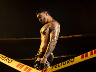 Dante Dimarco profile