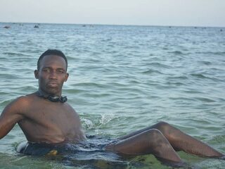 Diazal Veinn profile