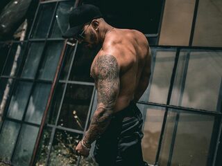 Thony Muscle profile