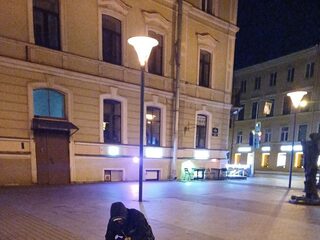 Platon Wroton profile