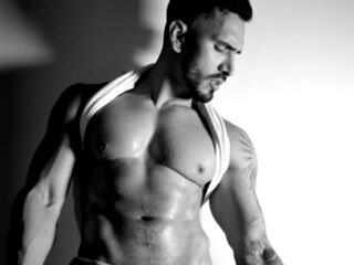 Thony Muscle profile