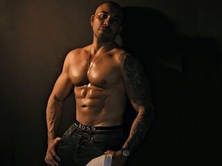 Romano Muscle profile