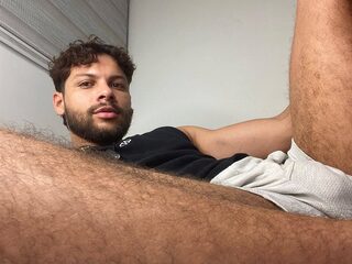 Dm Alessandro profile