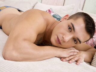 Travis Torres profile