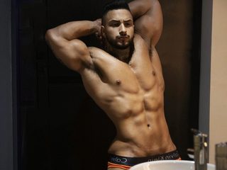 Max Dic webcam model