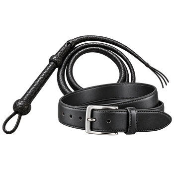 Whip with Belt