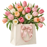 Bag of Tulips