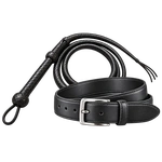 Whip with Belt