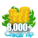 8,000 - 9,999 Credit Tip