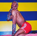 Sylice Steel