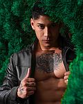 Damiann Hill