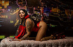 Dollphina Nylonqueen
