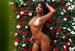 Lauren Rouse