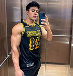 Terceo Muscle