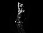 Apolo Dom