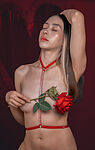 Sophiia Grey