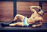 Ares Zenides