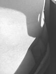 Damon Shadow