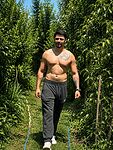 Roman Knox