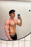 Terceo Muscle