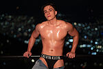 Aslan Fox