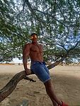 Rock Muscle