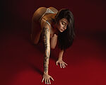 Kathe Lanne