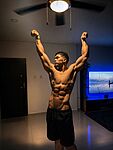 Nick Fenix