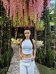Stefy Flowers