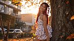 Stephy Fire