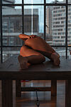 Martina Clarck