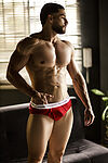 Joseph Laurent