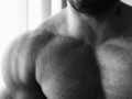 Muscle Cristi