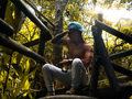 Nicolay Y