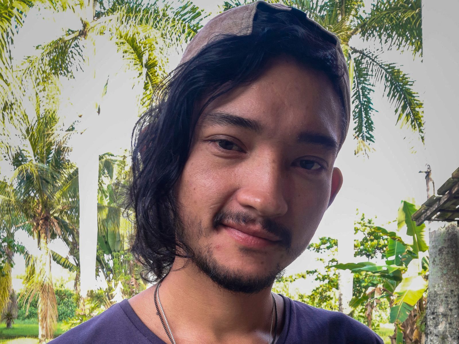 Dandy L low quality