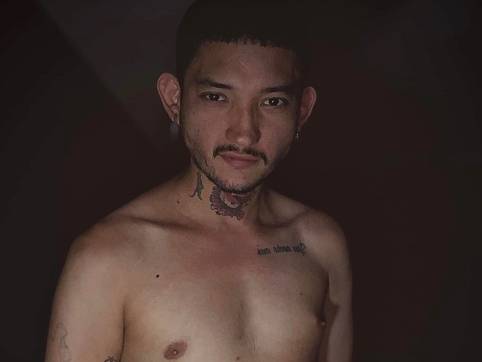 Dandy L low quality