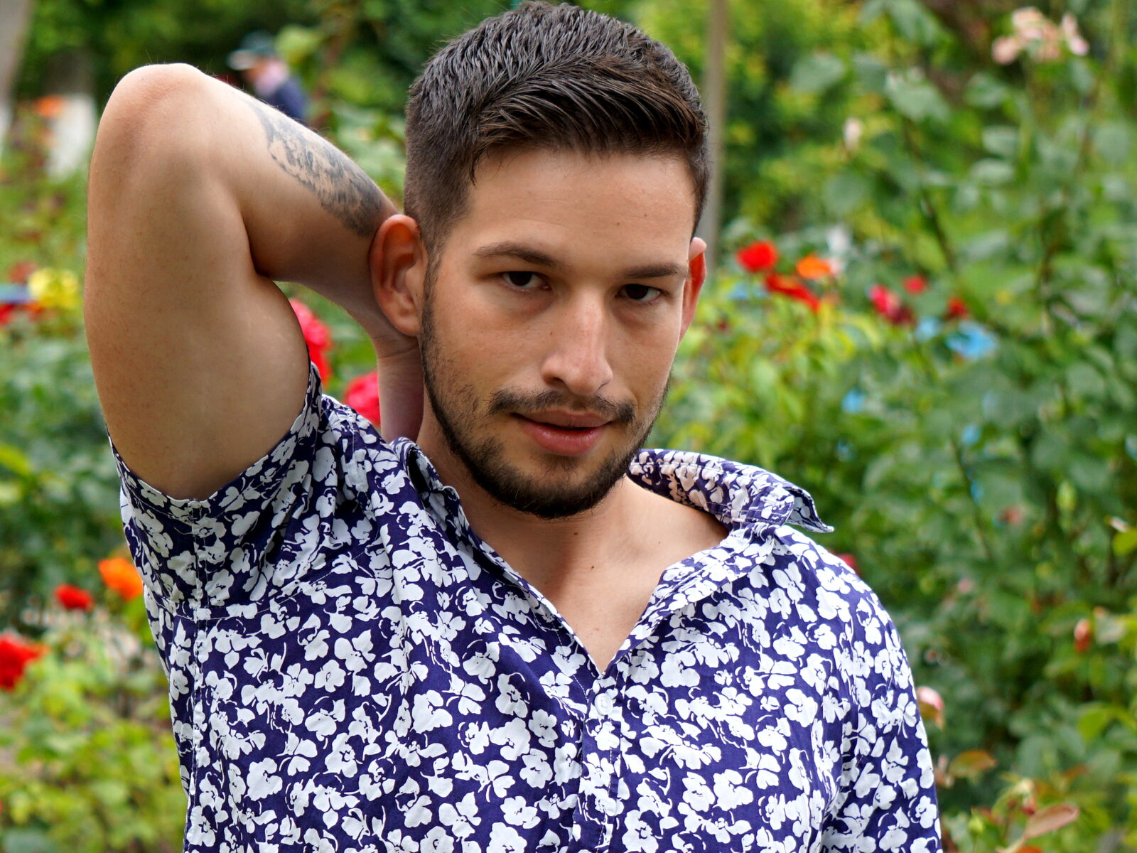 Leon Vane low quality