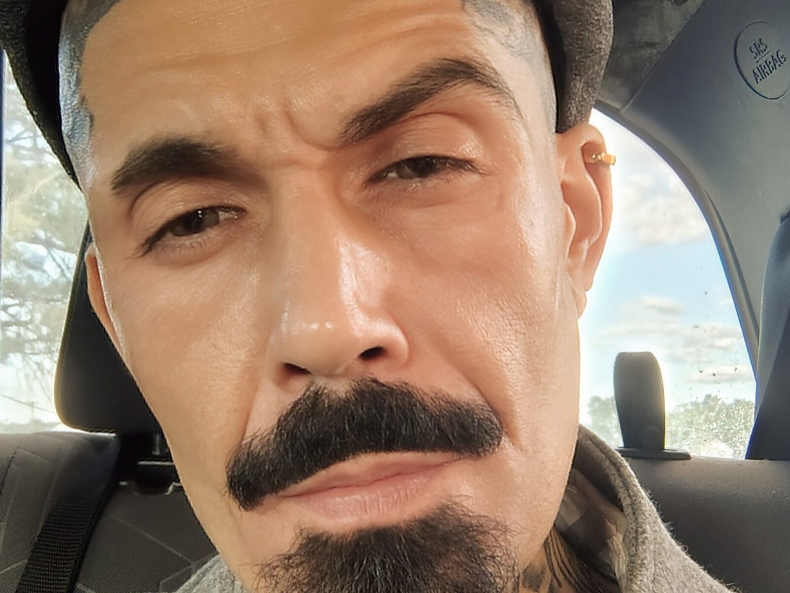 Tovi Meest