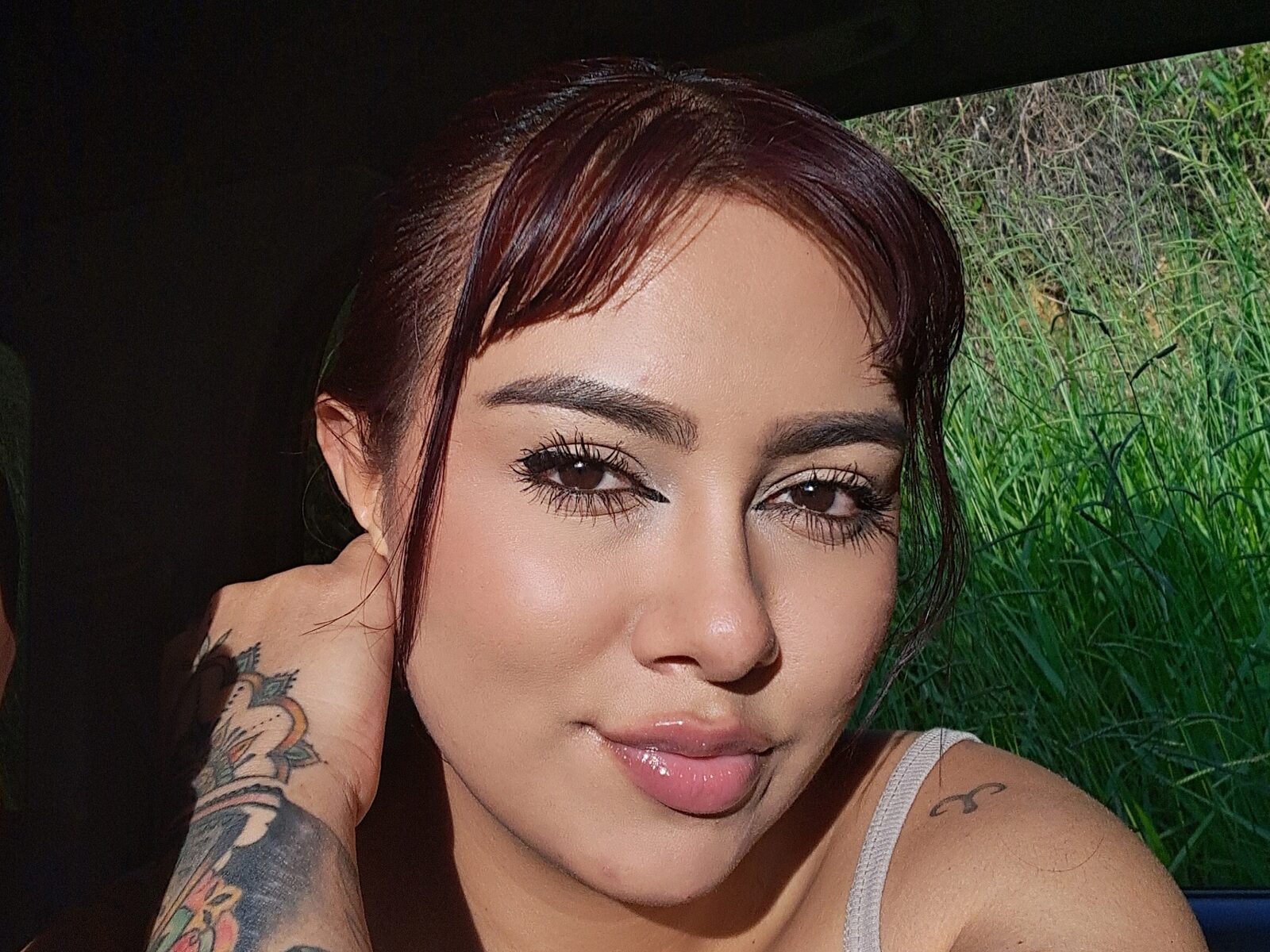 Fenix Rose
