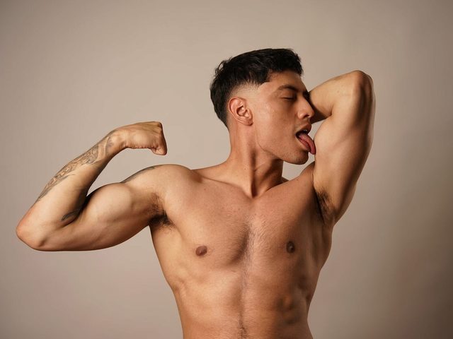 Dominic Lamarr