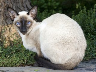1807253