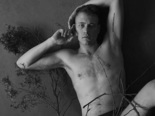 Beaux Bataille